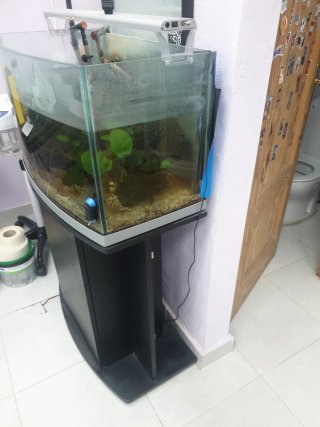 Acuario Curvado 120L Negro y Transparente