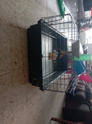 Jaula para conejos, cobayas, etc.