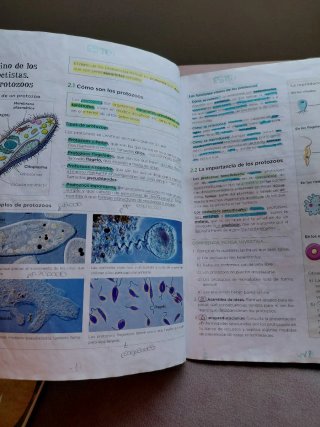 Biología y Geología 1 ESO