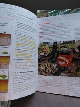 Biología y Geología 1 ESO
