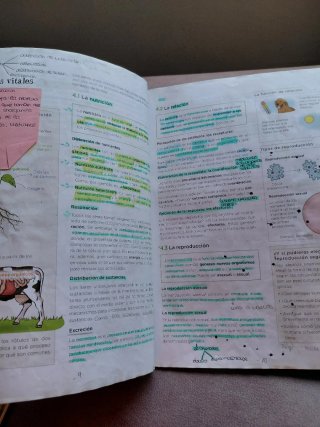 Biología y Geología 1 ESO