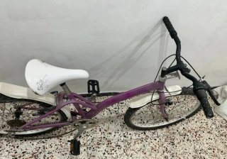 Bicicleta Morada 20 Pulgadas
