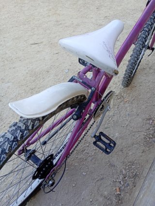Bicicleta Morada 20 Pulgadas