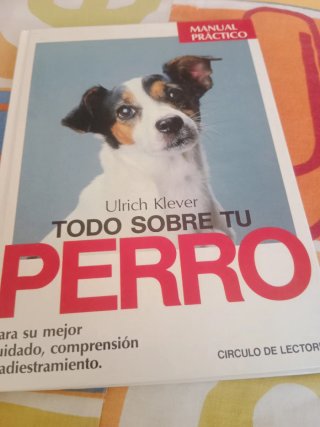 Todo sobre tu perro