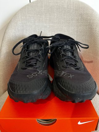 Nike Pegasus Trail 3 Gore-Tex Negras