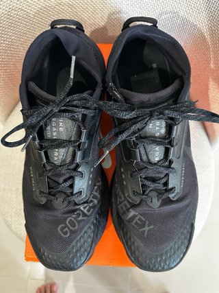 Nike Pegasus Trail 3 Gore-Tex Negras