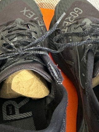 Nike Pegasus Trail 3 Gore-Tex Negras