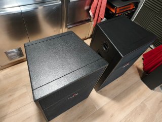 DAS RF115 Altavoces Profesional