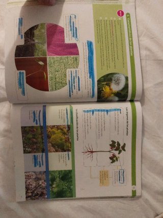 Biología y geología 1 ESO Construyendo Mundos V...