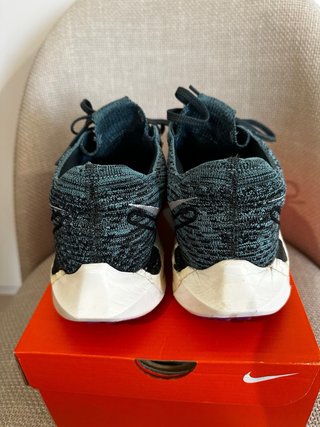 Nike Pegasus Turbo Next Nature