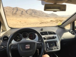 SEAT Altea 2013