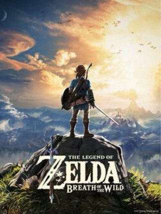 Zelda Breath of the Wild - SOLO JUEGO