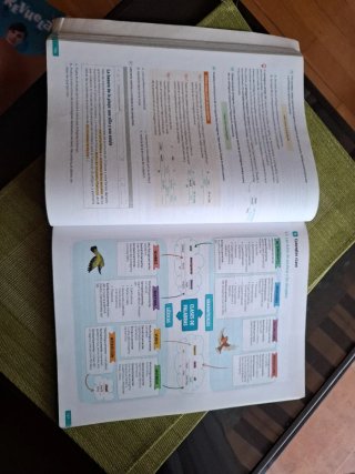 Lengua castellana y literatura 1 Bachillerato