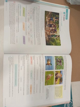 Lengua Castellana y Literatura . 1 Secundaria. ...