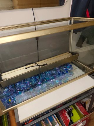 Acuario, pecera de 80 litros