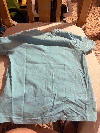 Lote Ropa: 2 camisetas y dos monos talla 1 año