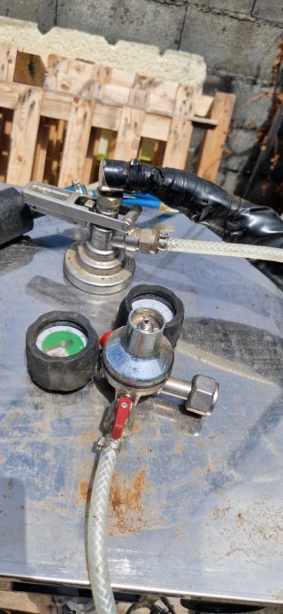 GRIFO ESTRELLA GALICIA COMPLETO