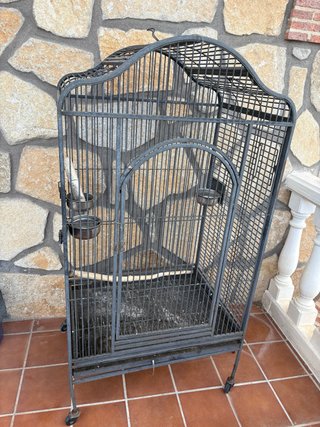Jaula para loro grande