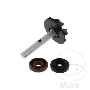 Kit Reparación Bomba Agua BMW F 650