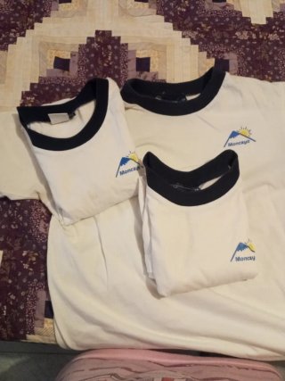 Camiseta Colegio Moncayo Talla 14