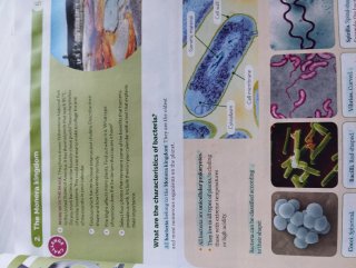 Libro Biology and geology 1°ESO Santillana