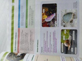 Libro Biology and geology 1°ESO Santillana
