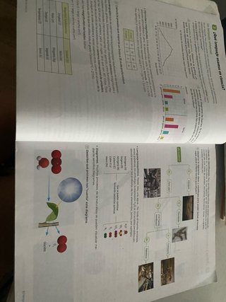 Biología y Geología : 1o ESO : Revuela