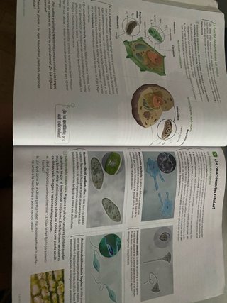 Biología y Geología : 1o ESO : Revuela