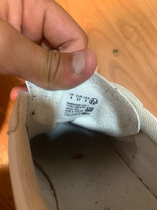 Zapatillas Lacoste Blancas Talla 42