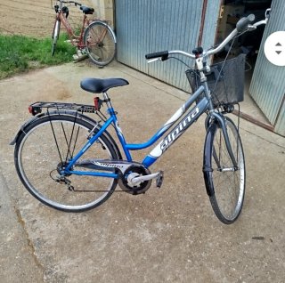 Bicicleta Paseo Alpina 28