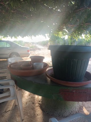 Lote Macetas Terracota y Plástico