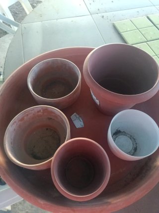 Lote Macetas Terracota y Plástico