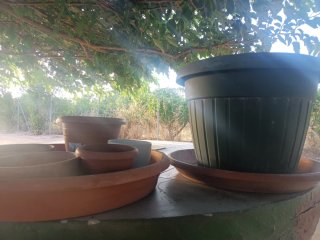 Lote Macetas Terracota y Plástico