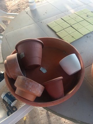 Lote Macetas Terracota y Plástico