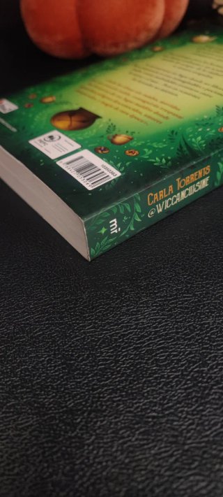 Libro "Latte de calabaza para almas sin rumbo"