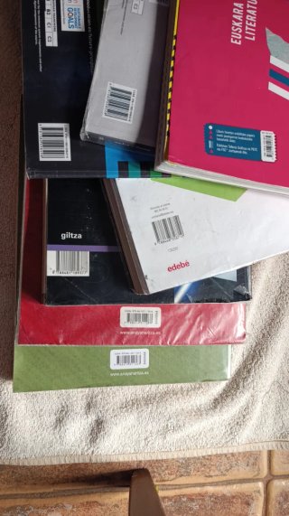 Libros de texto en euskera 1. Batxi