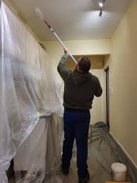 Pintura Interior y Enlucido Profesional