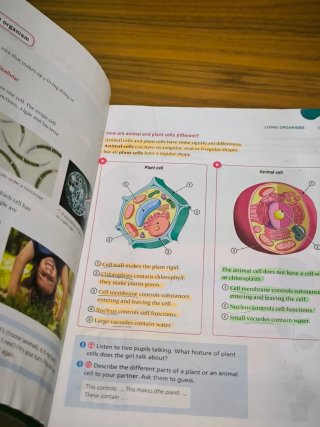 Natural Science, 3 Primaria, Outside the Box, ByMe