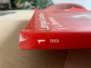 Lengua castellana y literatura 1 ESO