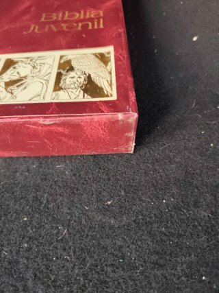 Biblia Juvenil Tapa Roja