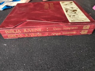 Biblia Juvenil Tapa Roja