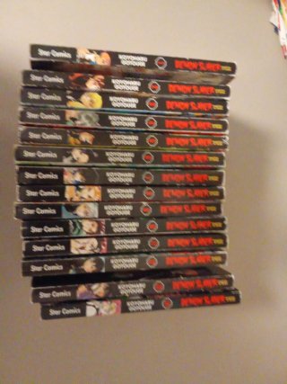 Fumetti demoni Slayer dal 1 al 14