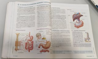 Anatomía Aplicada