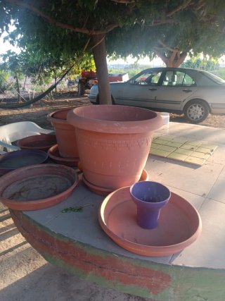 Lote Macetas Plástico Marrón y Morado