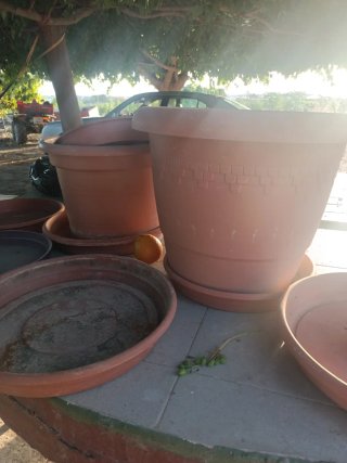 Lote Macetas Plástico Marrón y Morado