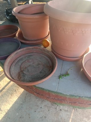 Lote Macetas Plástico Marrón y Morado