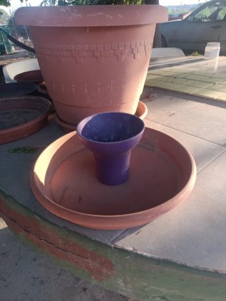 Lote Macetas Plástico Marrón y Morado