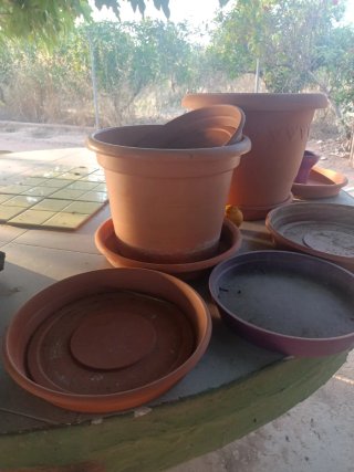 Lote Macetas Plástico Marrón y Morado