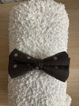 Pajarita Marrón con Puntos Blancos