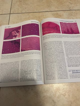 Istologia con elementi di anatomia microscopica